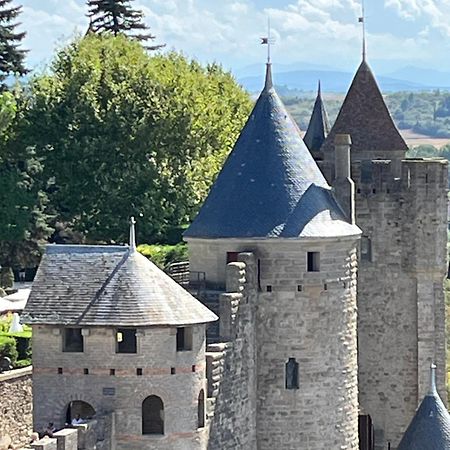 Appartement Tres Calme, Rdc, 800 M De La Cite Medievale Classee Au Patrimoine De L'Unesco การ์กาซอน ภายนอก รูปภาพ