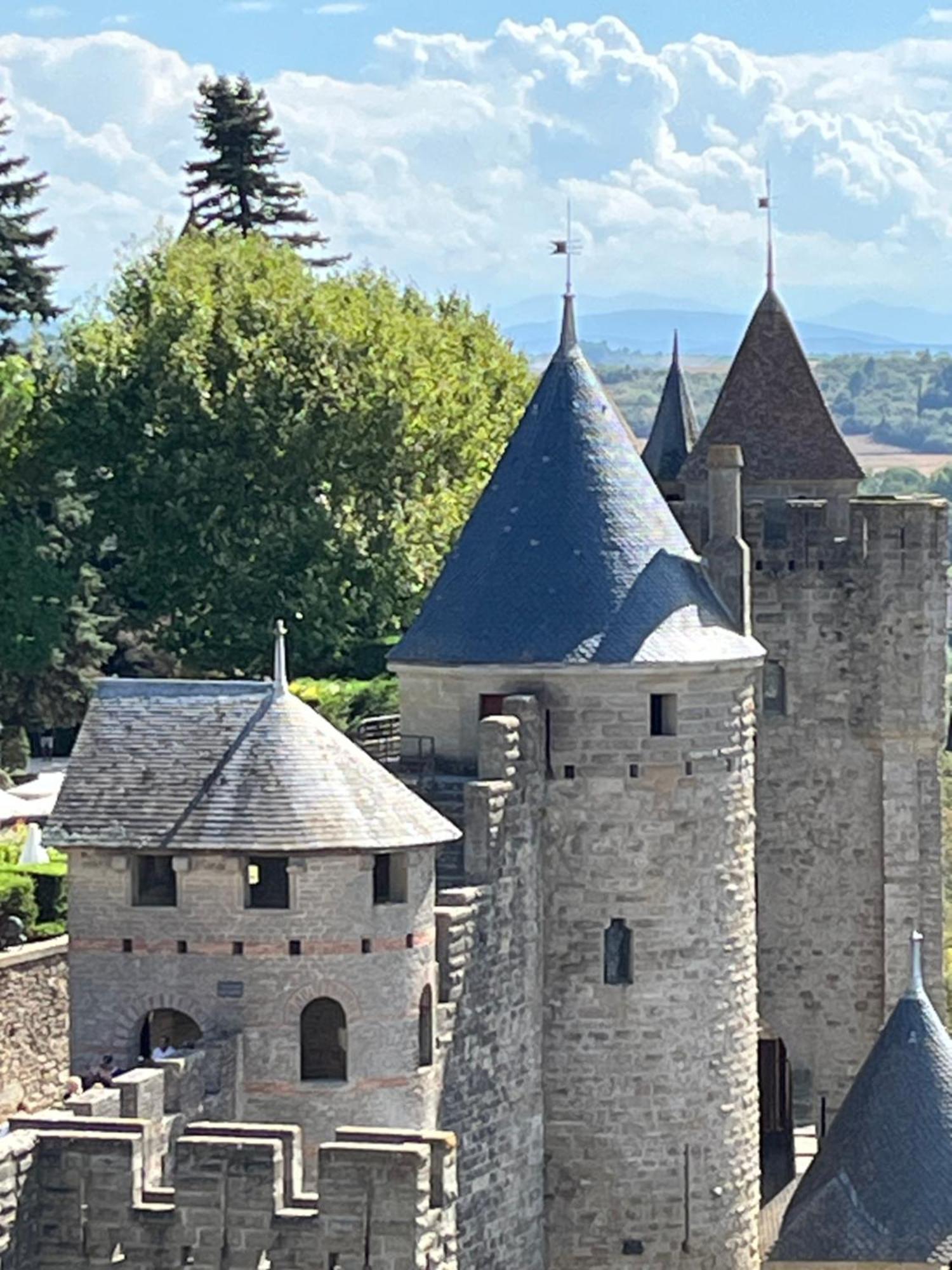 Appartement Tres Calme, Rdc, 800 M De La Cite Medievale Classee Au Patrimoine De L'Unesco การ์กาซอน ภายนอก รูปภาพ